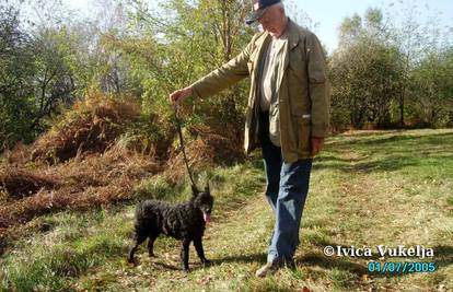 Karlovački dobrotvor: Josip je psima ostavio 1,2 milijuna kn