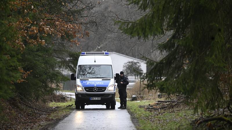 UŽAS U NJEMAČKOJ Stablo palo na majku i bebu dok su tražili uskrsna jaja u šumi. Umrli su