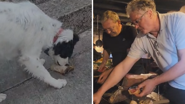 VIDEO Ričard časti svoje, pažnju ukrao njegov pas: 'Janjetina se čeka. Bit će tulum za pamćenje!'