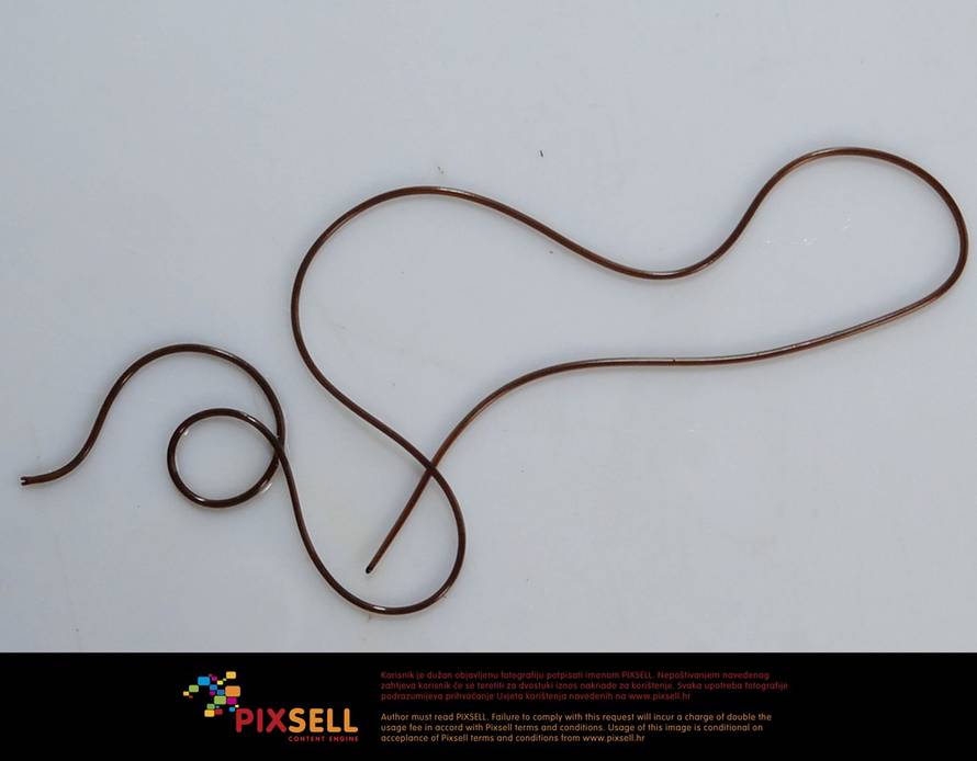 Nikola Čutuk/Pixsell