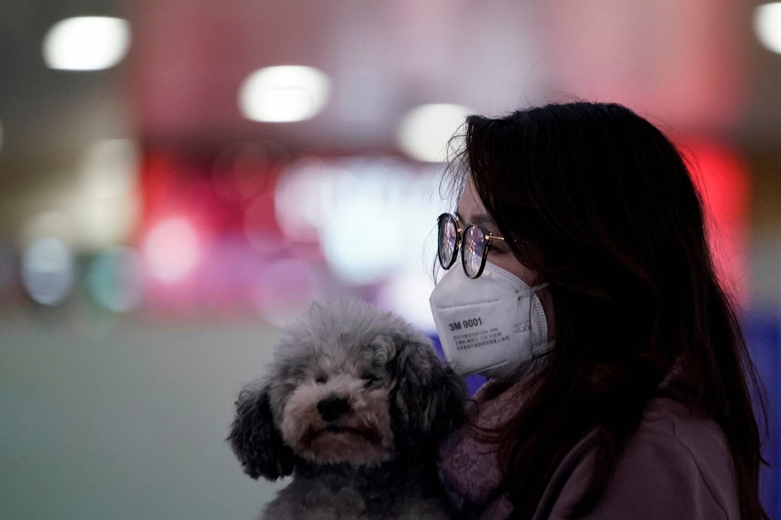 Woman holding her dog wears a mask at the Pudong International Airport in Shanghai