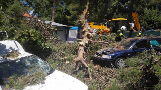 Srušilo se stablo  u autokampu: Grana je ozlijedila dvoje djece