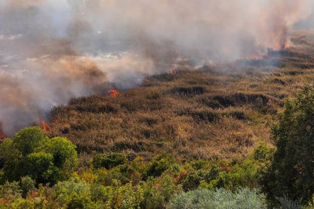 Opuzen: Izbio požar kod mjesta Vid u blizini Metkovića