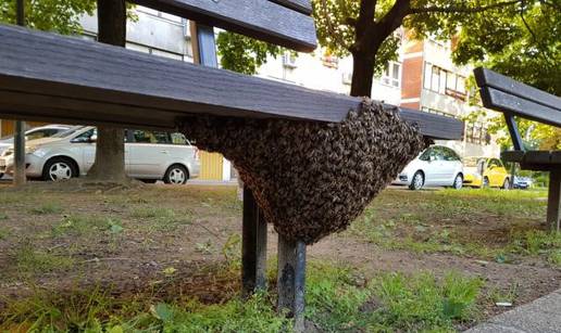 Spašavanje pčela u gradskim sredinama