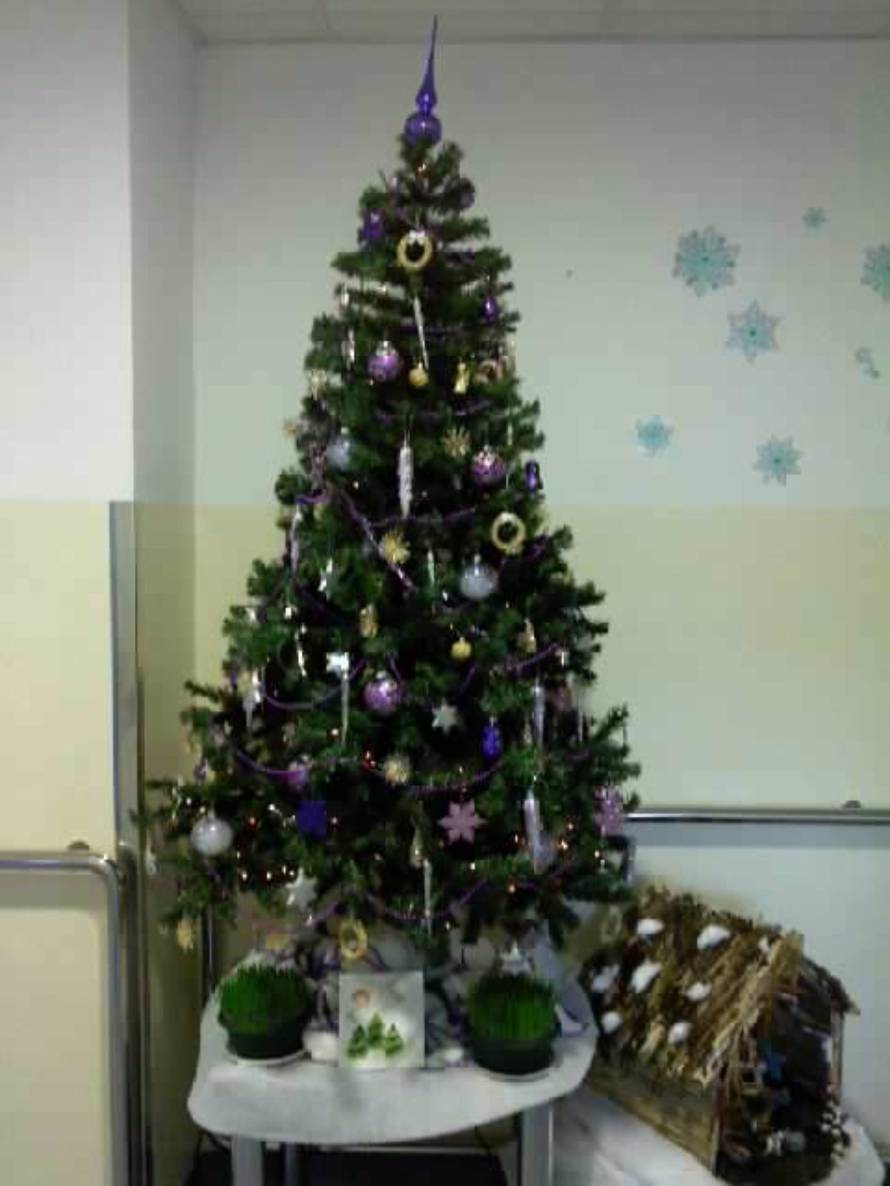 Vaskularna kirurgija KBC Rebro