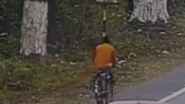Dramatični susret u Indiji: Leopard srušio muškarca s bicikla i pobjegao u šumu