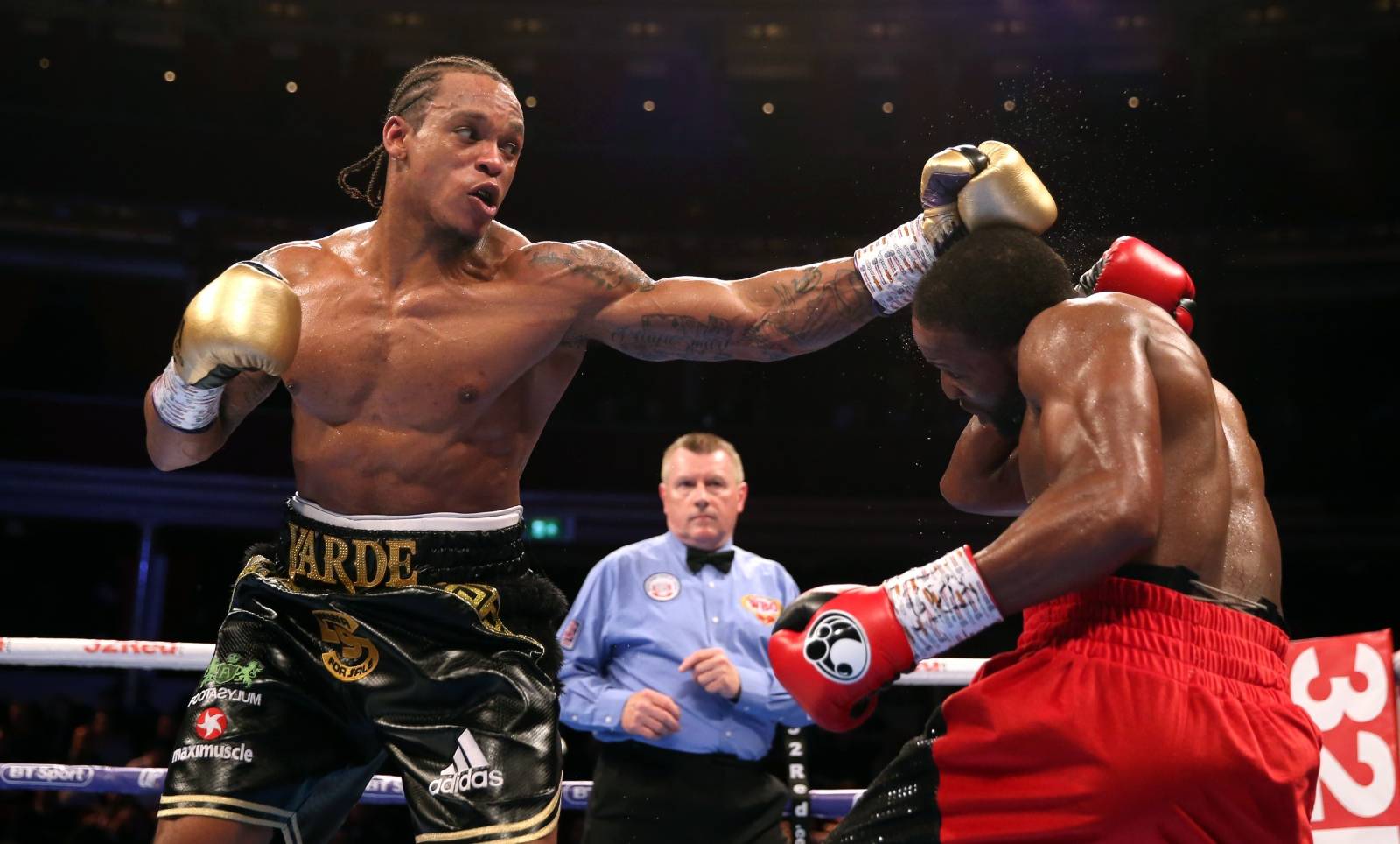 Royal Albert Hall Boxing