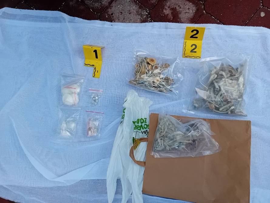 Drama u Sarajevu. Autom krenuo na prosvjednike. Našli mu gljive, travu, LSD, kokain...