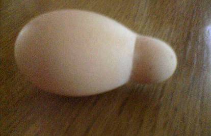 Kokoš snijela neobično jaje sa okruglom izraslinom
