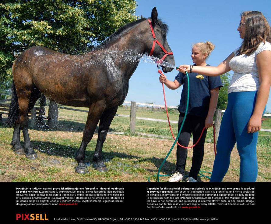 Goran Ferbezar/Pixsell