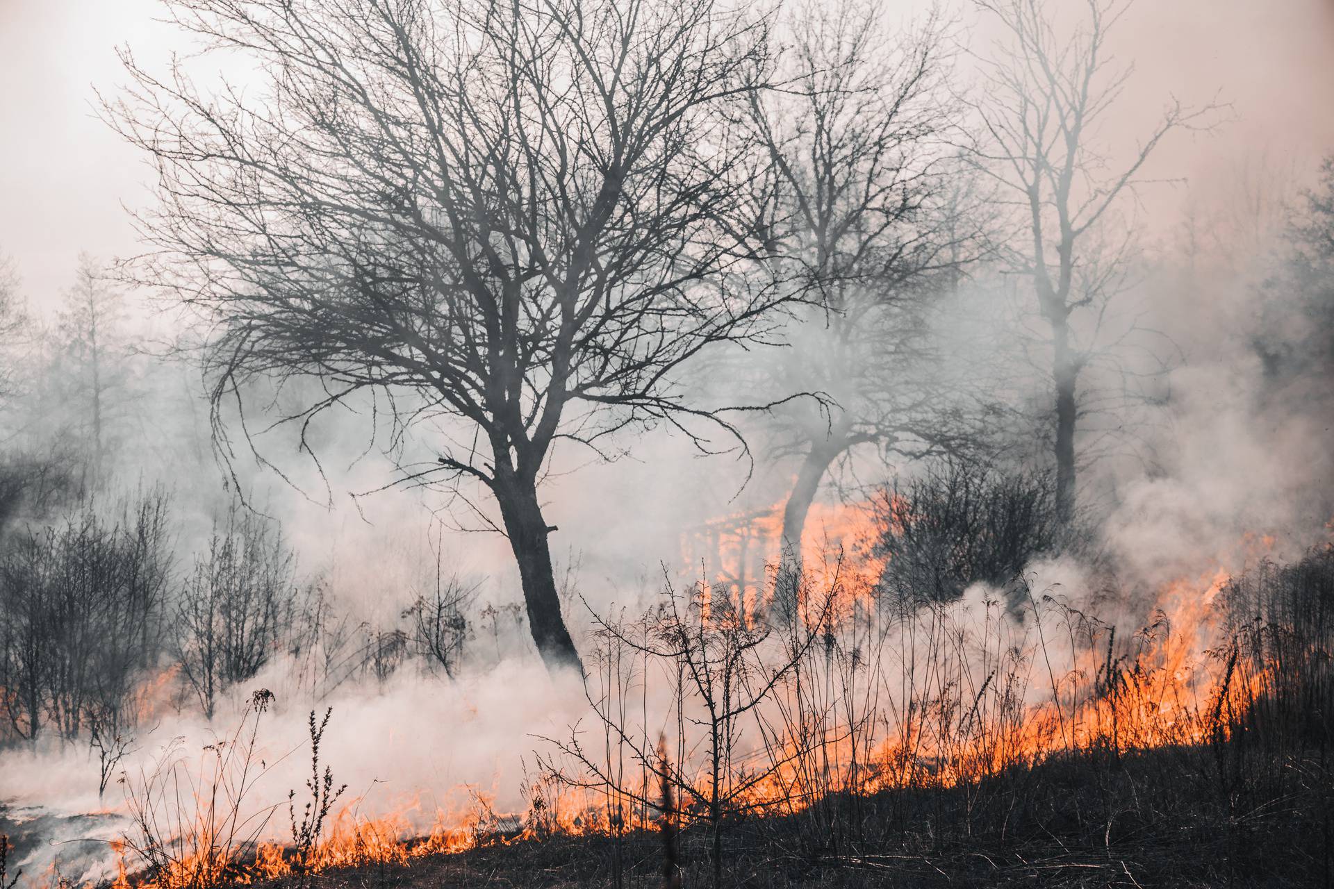 Znate li postupak u slučaju požara?