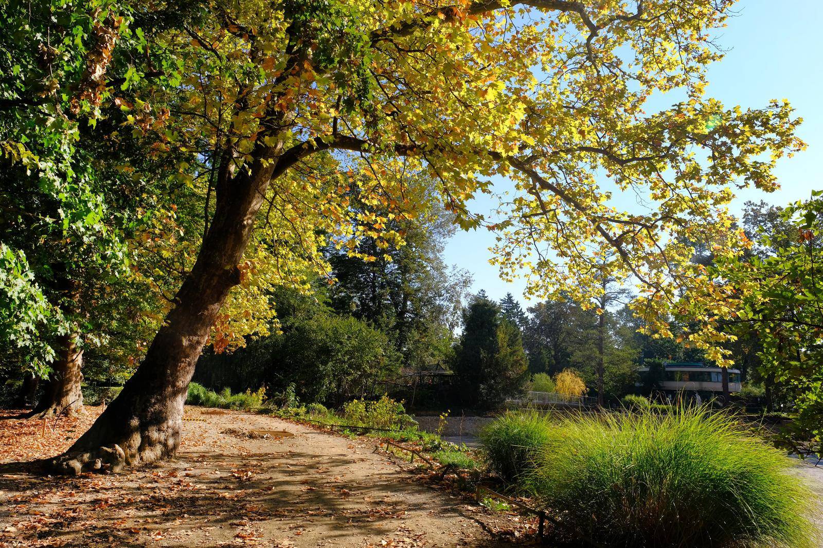 Zagreb: Boje jeseni u parku Maksimir