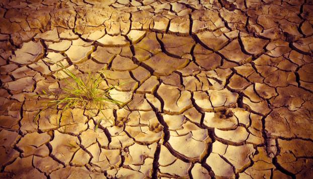 FOTO Jeziva Nostradamusova proročanstva za  iduću godinu: 'Krv se prolijeva, kuga stiže...'