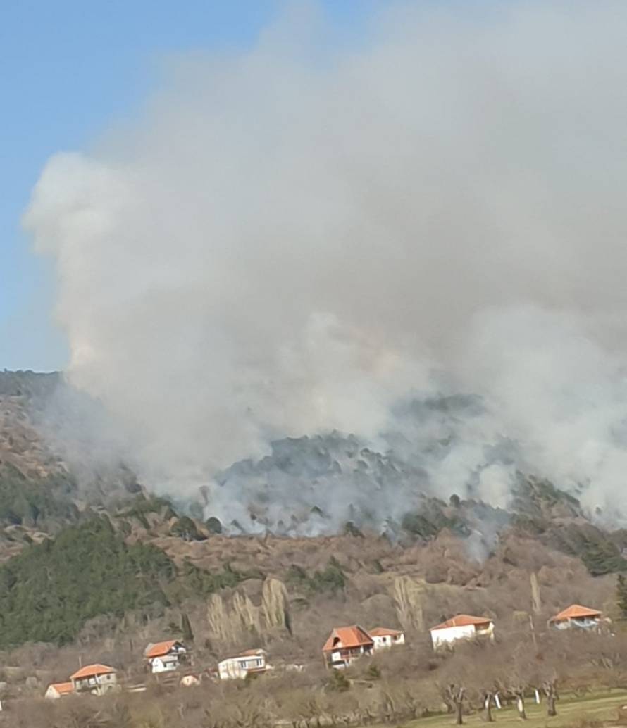 Sinj: Planula je gusta borova šuma, dim se proširio posvuda