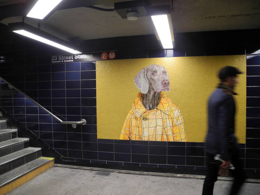 U londonskoj podzemnoj postavljeni mozaici s likovima pasa umjernika Williama Wegmana