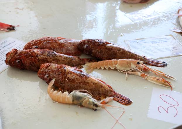 Šibenik: Ponuda ribe na ribarnici