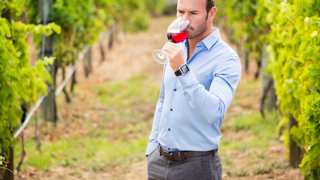 Klimatske promjene utječu i na vinograde, mijenjaju okuse vina