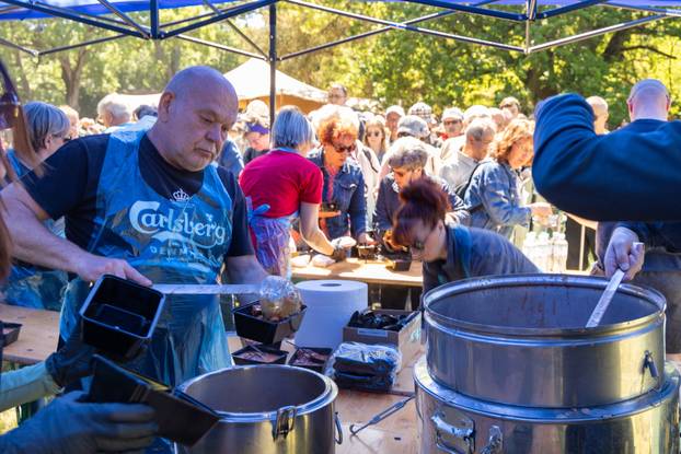 Pula: Prvomajski grah u Šijanskoj šumi