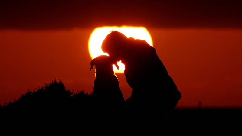 Novo otkriće: Najstariji poznati pas živio prije 15.800 godina