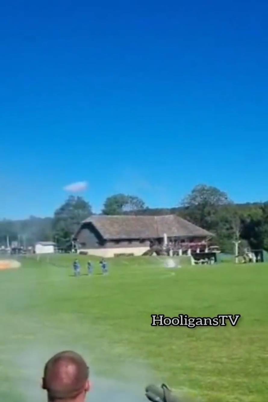 Incident u Plitvicama: Pucao je iz zolje i umalo pogodio igrače!? Predsjednik tvrdi: Video je star