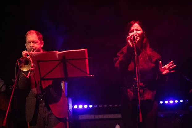 Zagreb: Koncert Vesne Pisarović u klubu Močvara