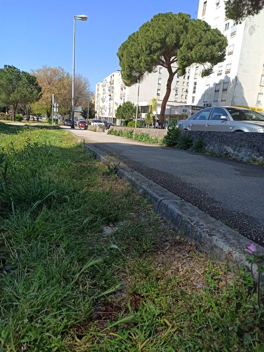 Strašno! Snimku kako mlate  dječaka šeraju na TikToku?! Liječnik: Teško je ozlijeđen