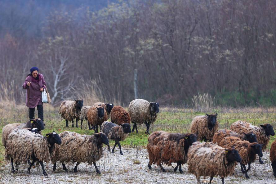Ljubej Kalnički: Dan nakon stravičnog otkrića otkrivaju se detalji nezapamćenog zločina