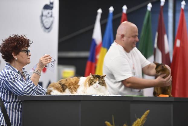 Zagreb: Međunarodna izložba mačaka WCF Cat Olimpia 2025