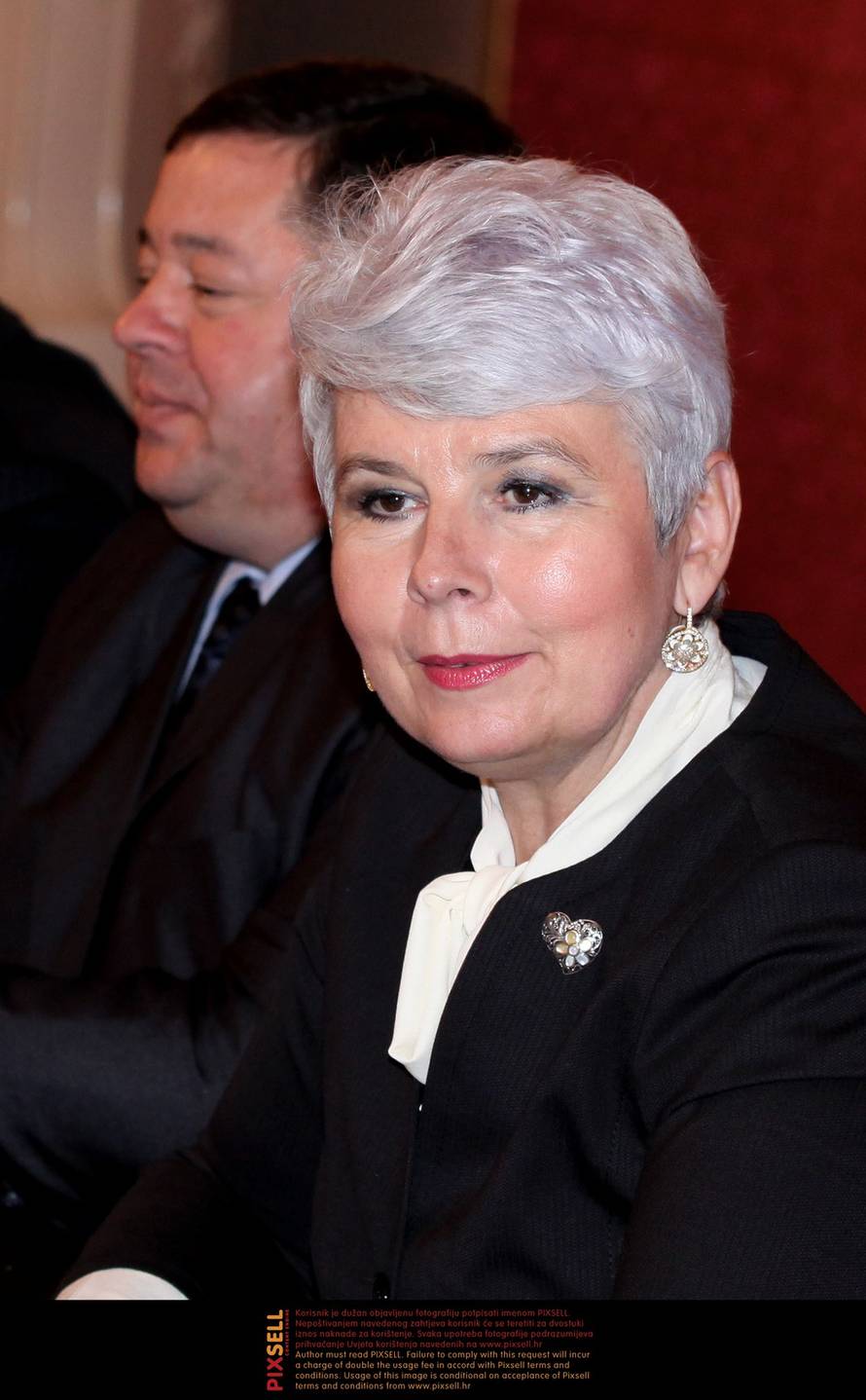 Patrik Macek/PIXSELL