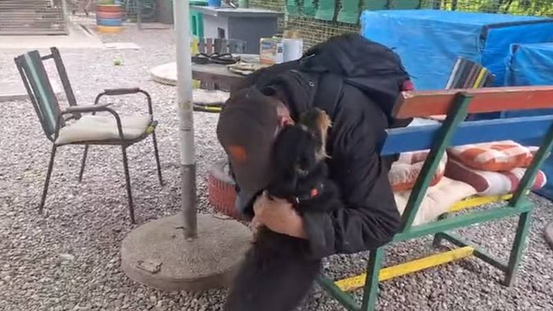 A video that lures tears: a man from Osijek has hugged his dog after five months