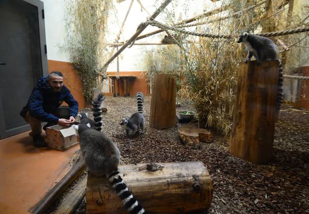 FOTO Zagrebački ZOO slavi svoj 100. rođendan, pogledajte što ga je sve obilježilo kroz godine