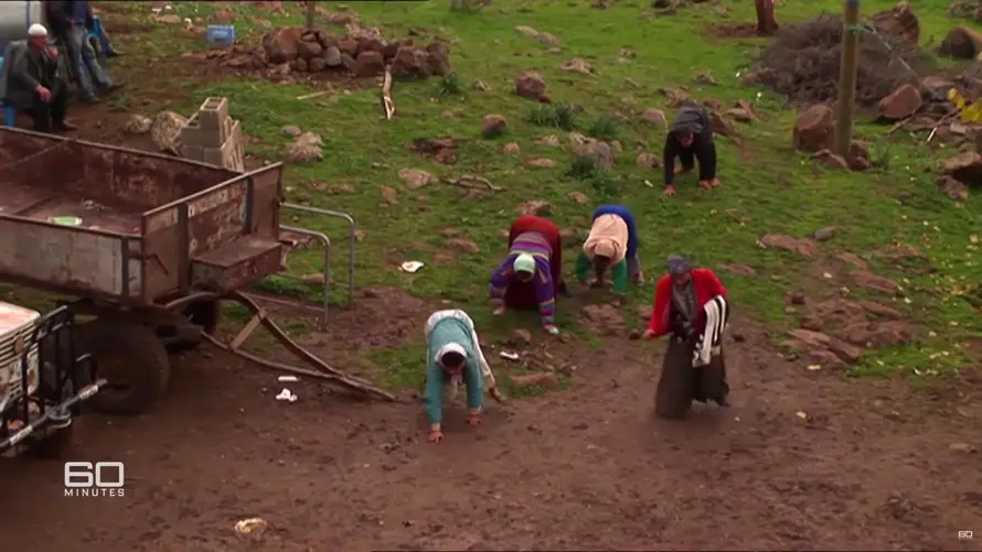 VIDEO Obitelj hoda na sve četiri, znanstvenici šokirani: 'Pa oni uopće ne bi trebali postojati!'