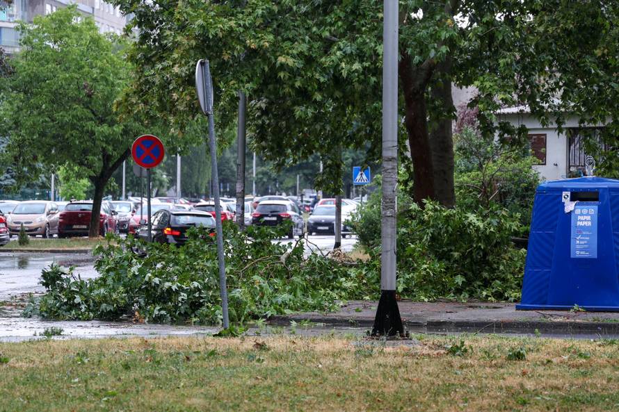 Zagreb: Vatrogasci uklanjaju stablo koje je palo u Ulici Svetog Mateja