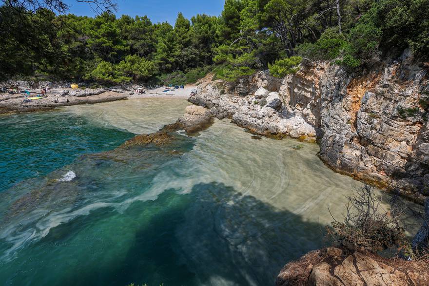 Cvjetanje mora na plažama u Puli