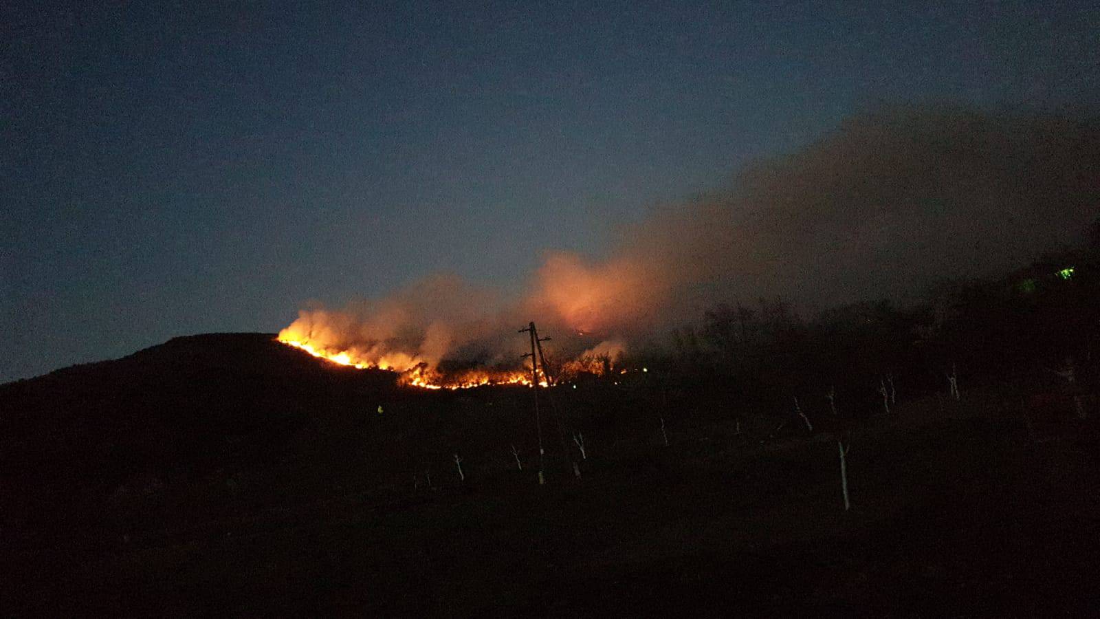 Sinj: Planula je gusta borova šuma, dim se proširio posvuda