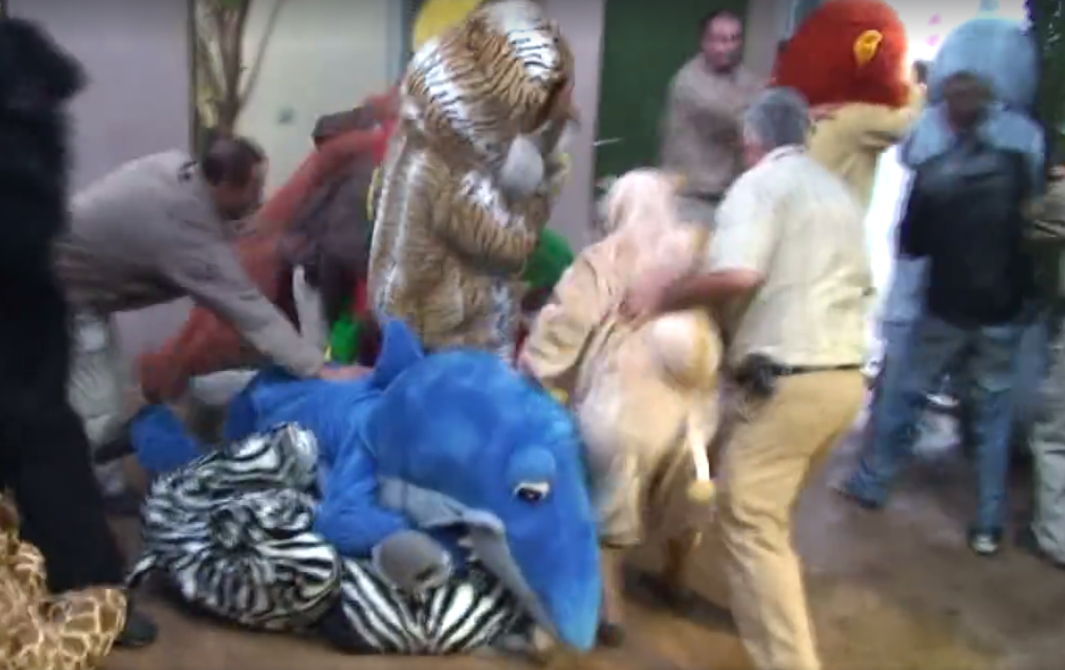 Poletjele i šake: Remi Gaillard je 'zakuhao' kaos u zoološkom