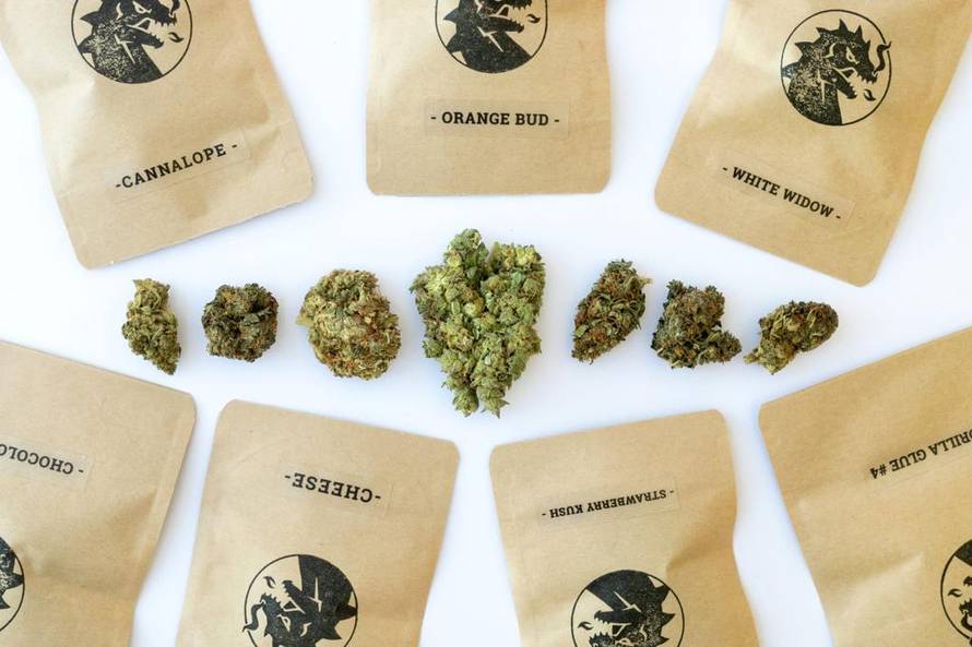 'Korona nam ne može ništa. Hrvati i dalje traže CBD cvijet'