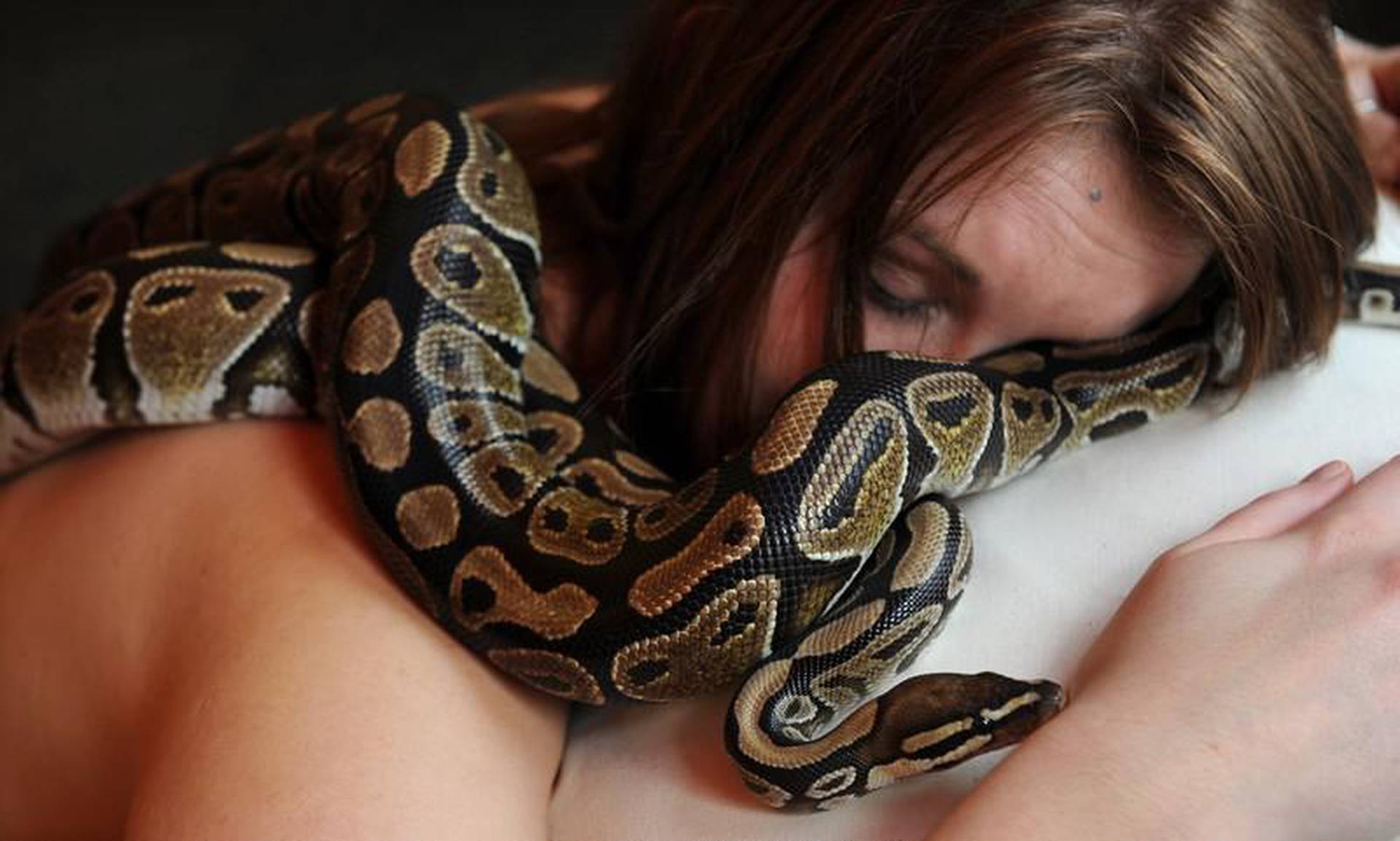 She is snake. Анаконда питон и женщина. Фотосессия со змеями. Девушка змея. Девушка с удавом.