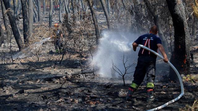 Seget: Dan nakon šumskog požara u blizini apartmanskog naselja Medena