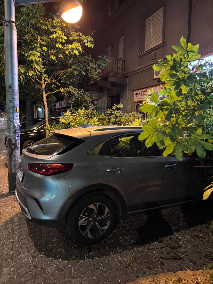 FOTO Ogromno stablo palo na auto i pločnik u Zagrebu!