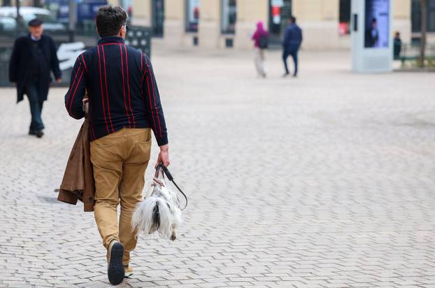 Zagreb: Pas poput modne torbice