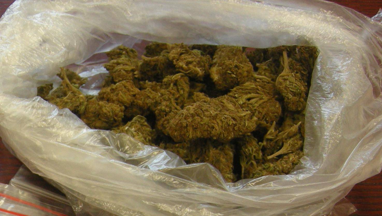 U Virovitici je 'pao' diler s više od 1,7 kilograma marihuane...