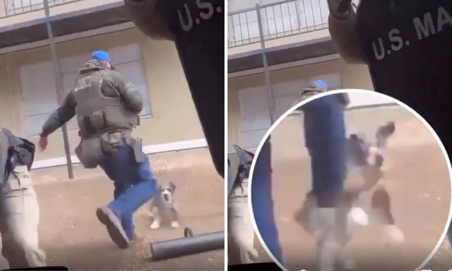 TRUMPOVA AMERIKA Snimka američkog maršala kako udara psa i lomi mu rebro šokirala sve