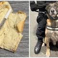 Neobična zapljena u Srbiji. Pas nanjušio joint u kifli: 'Bilo bi to nemoguće bez krznenog kolege'