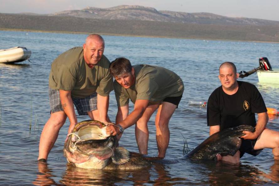 Željko Mršić/Pixsell