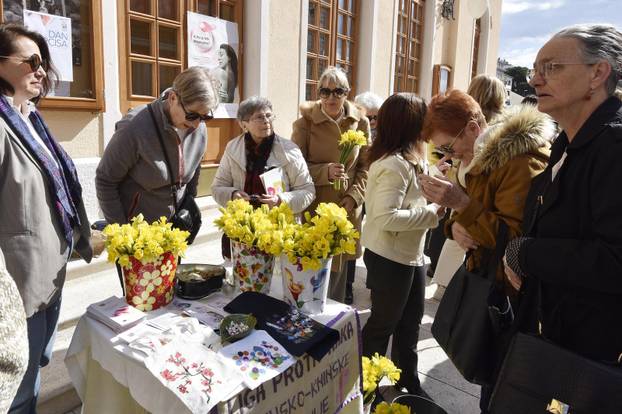 Šibenik: Liga protiv raka Šibenik obilježava Dan narcisa