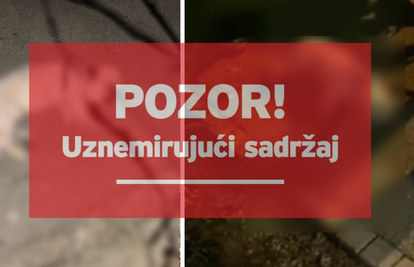 Strava u Splitu: 'Pit Bull izgrizao maltezera do smrti. Vlasnik je viknuo 'Nije moj!' i pobjegao...