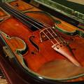 Violina je nastala u 16. stoljeću, najskuplja stoji 143 milijuna kn