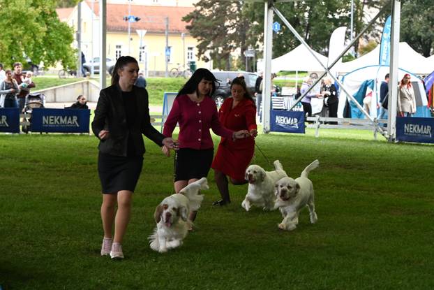 FOTO Neodoljive su njuškice ovih dana blistale u Karlovcu
