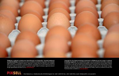 6 činjenica o jajima zbog kojih ih nikada nećete izbjegavati